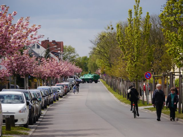 138. Baumblütenfest