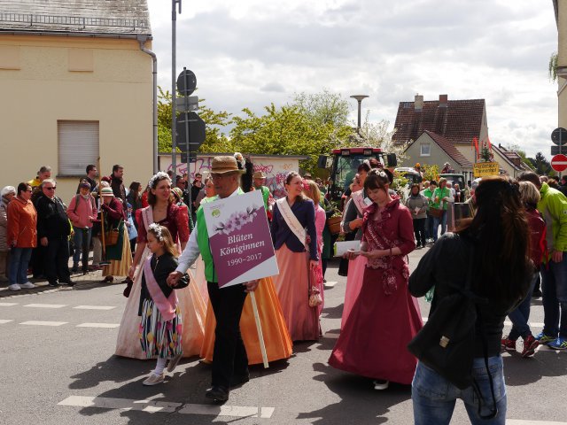138. Baumblütenfest
