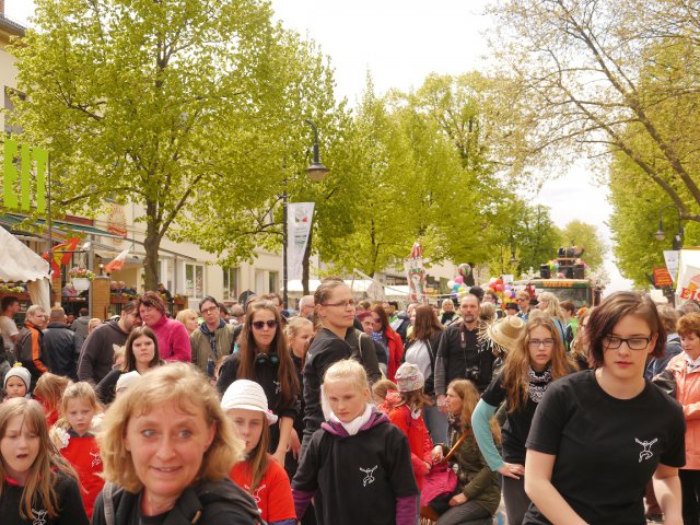 138. Baumblütenfest